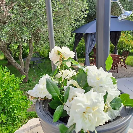 Villa Grace Felice Fažana